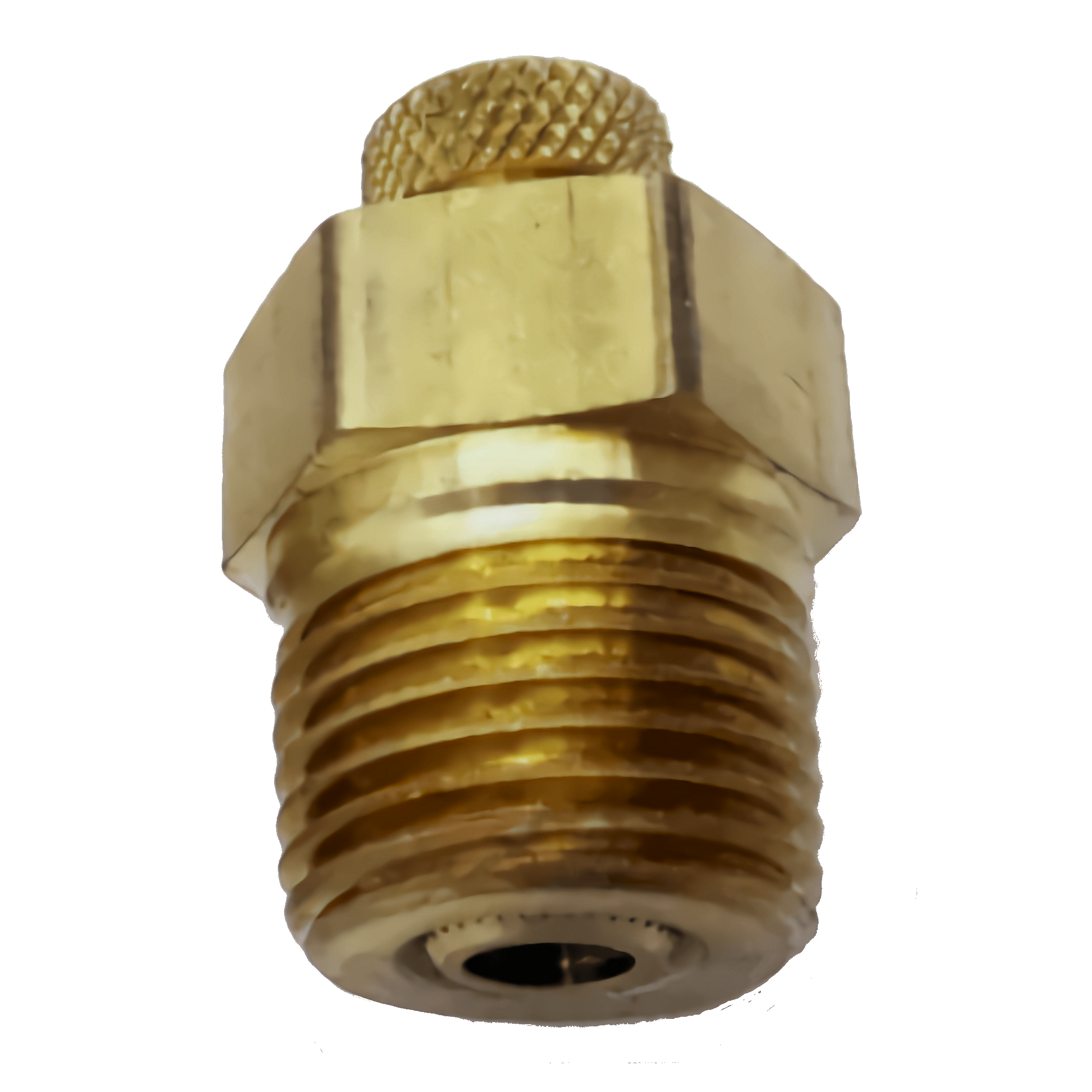 1/2" MPT P/T Plug