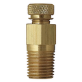1/4" MPT P/T Plug