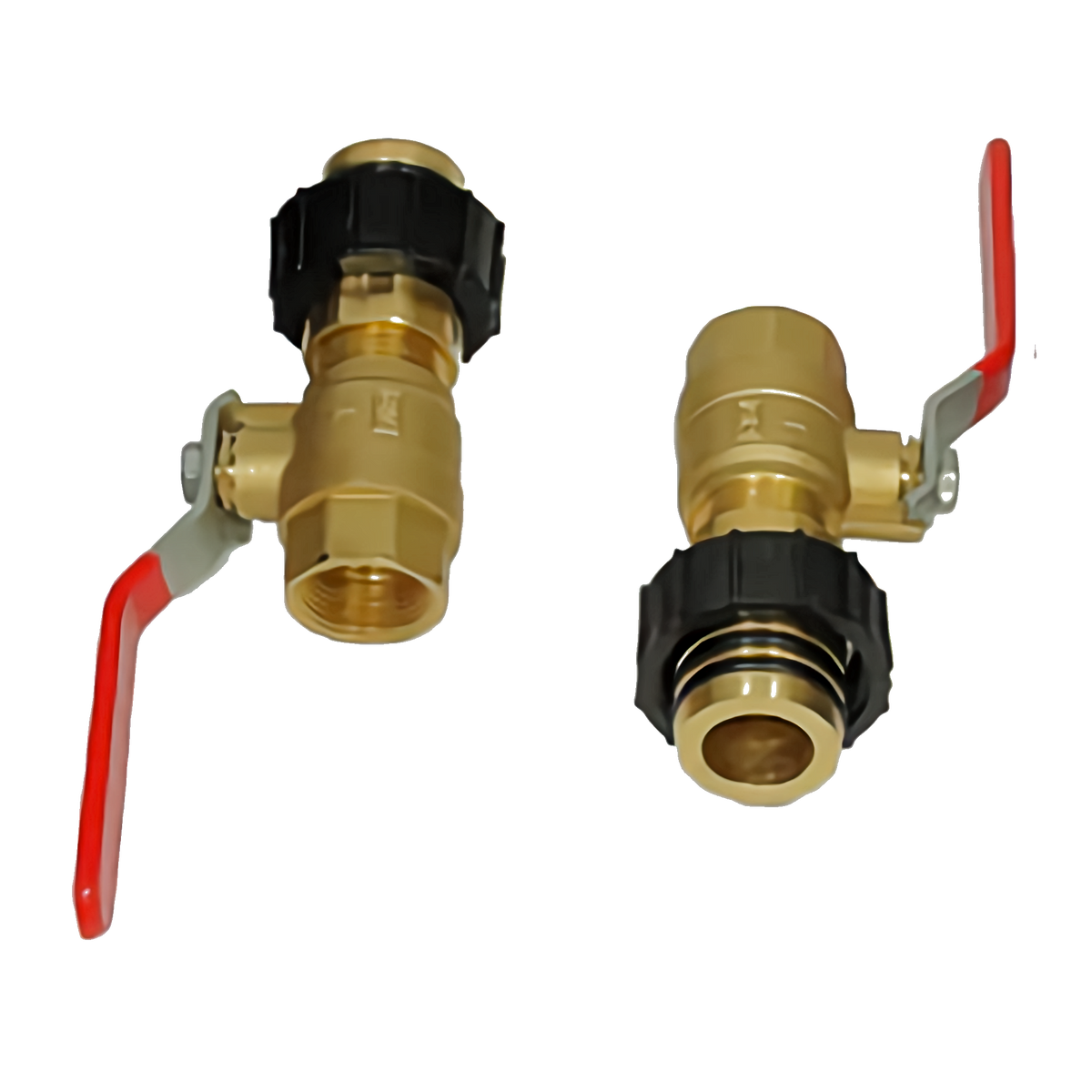 Flo-Link Double O-Ring x 1" Brass FPT Full-Port Isolation Valves w/ Check Valve (Set of 2)